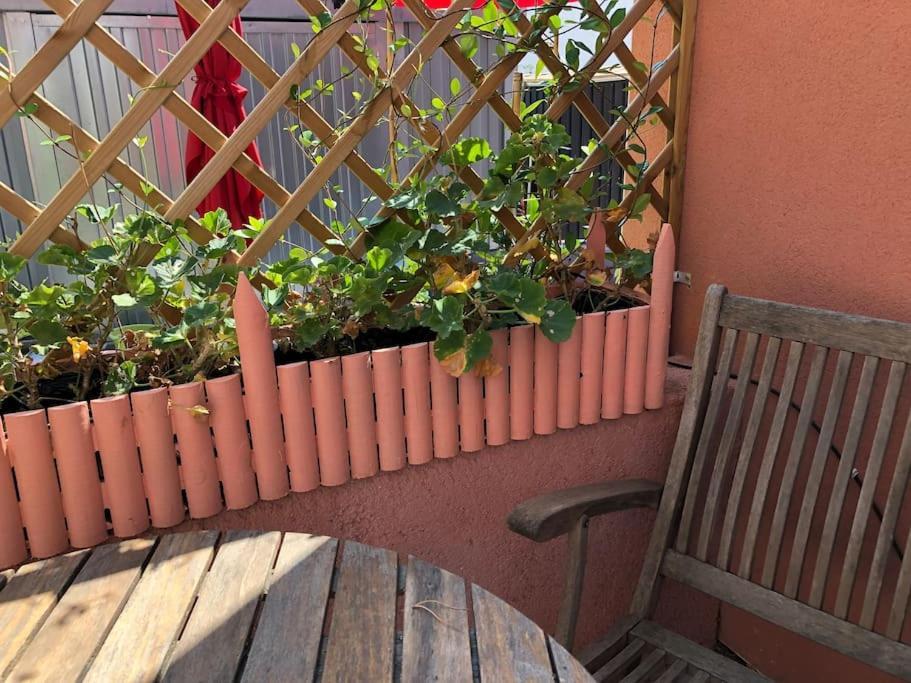 Moderne Mini Maison * Lezignan-Corbieres