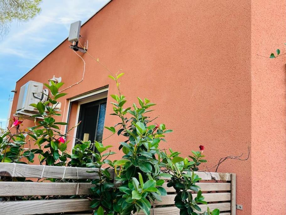 Moderne Mini Maison * Lezignan-Corbieres